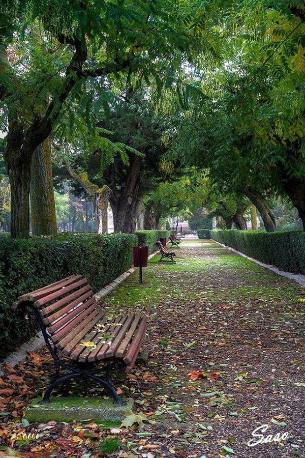 Pension Casa Pinilla カスカンテ エクステリア 写真